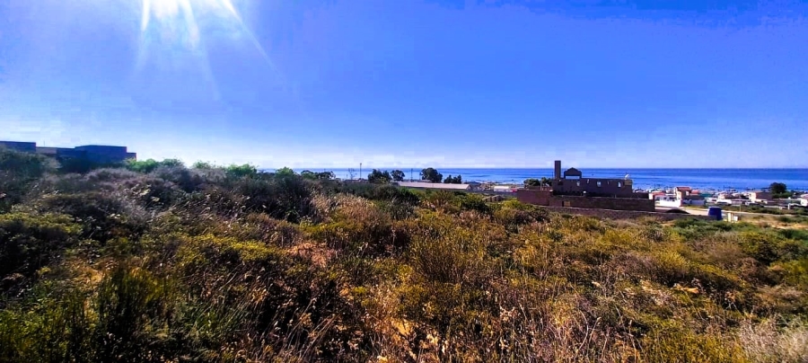 0 Bedroom Property for Sale in Steenbergs Cove Western Cape